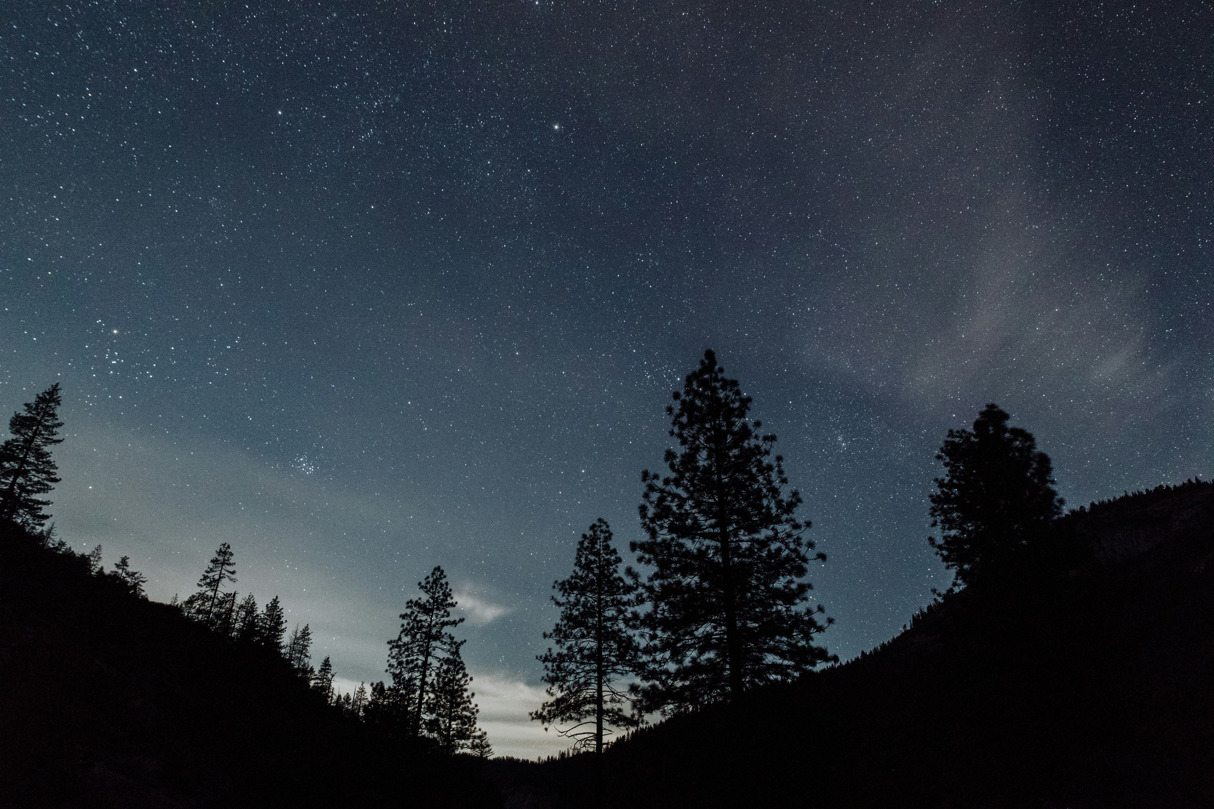 green trees under blue sky during nighttime